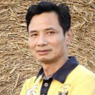 dodinhhau